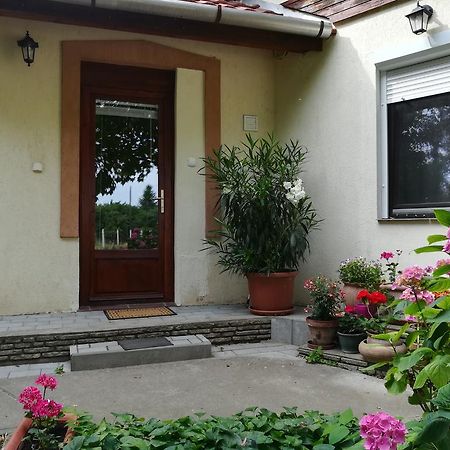 Vargapartman Szeged Buitenkant foto