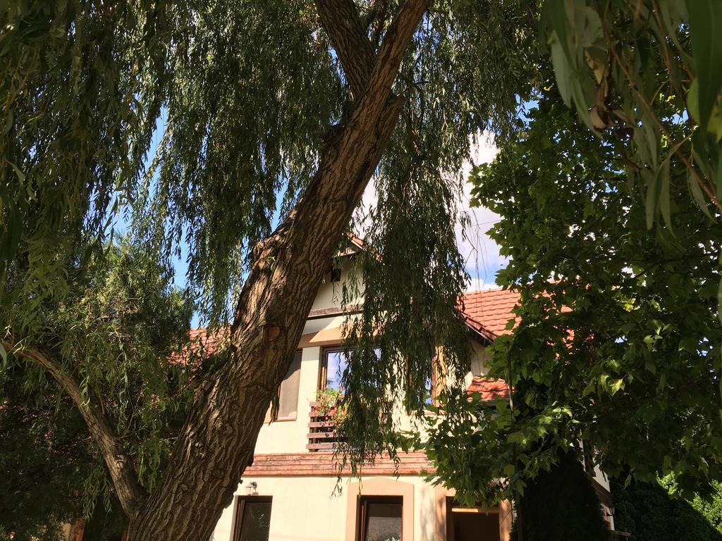 Vargapartman Szeged Buitenkant foto