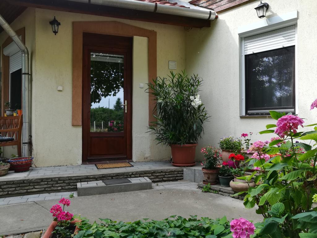 Vargapartman Szeged Buitenkant foto